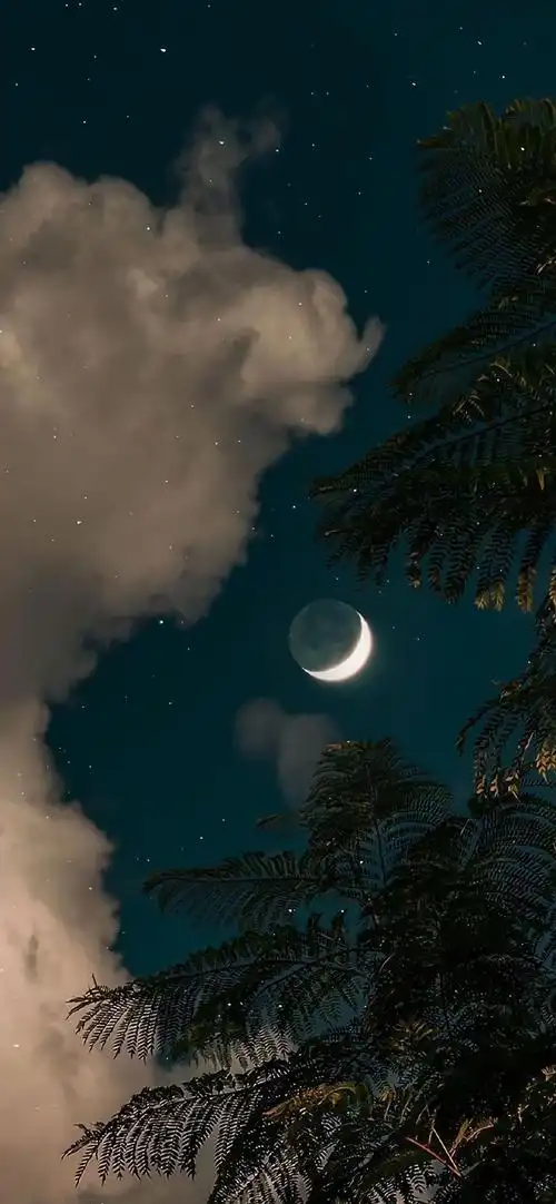 月亮美学求以月亮为主角的壁纸