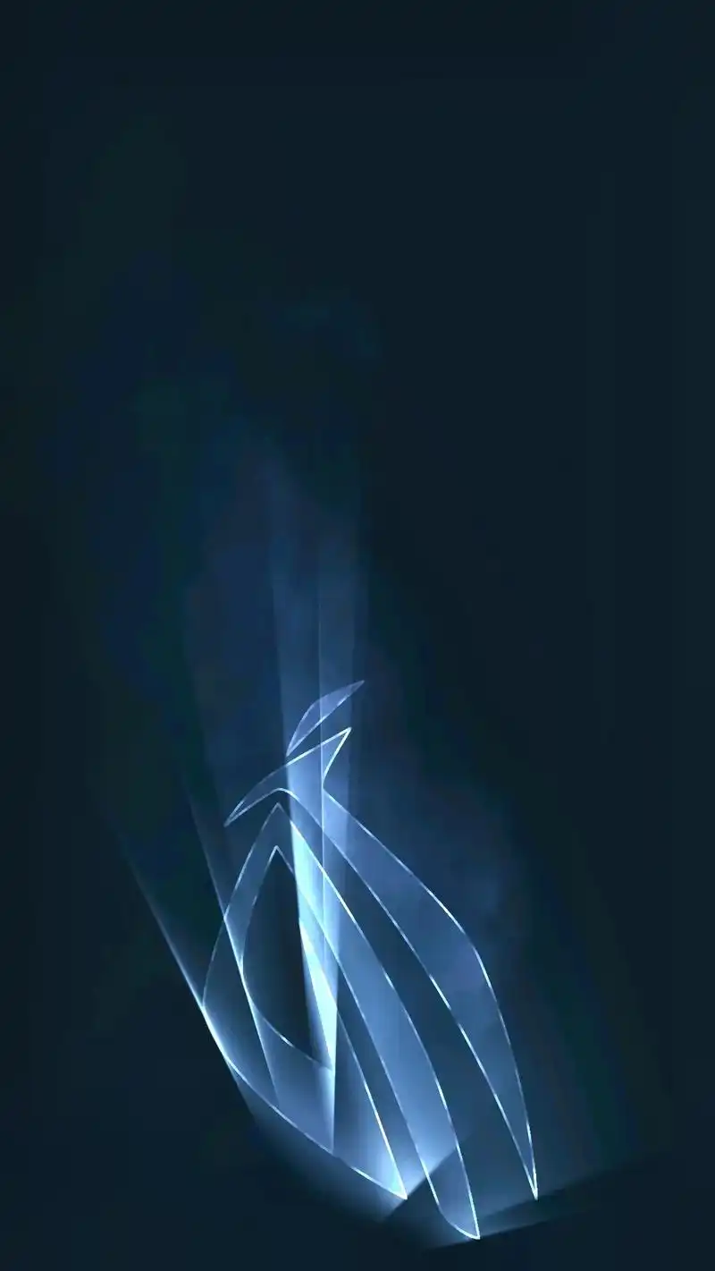 我妈说过年我想要什么#壁纸 #原创 #rog玩家国度  - 抖音