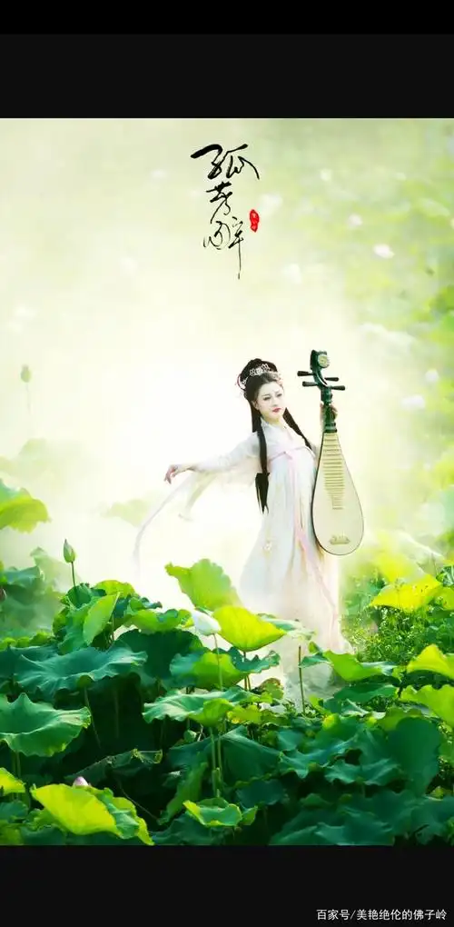荷花池的美丽仙女
