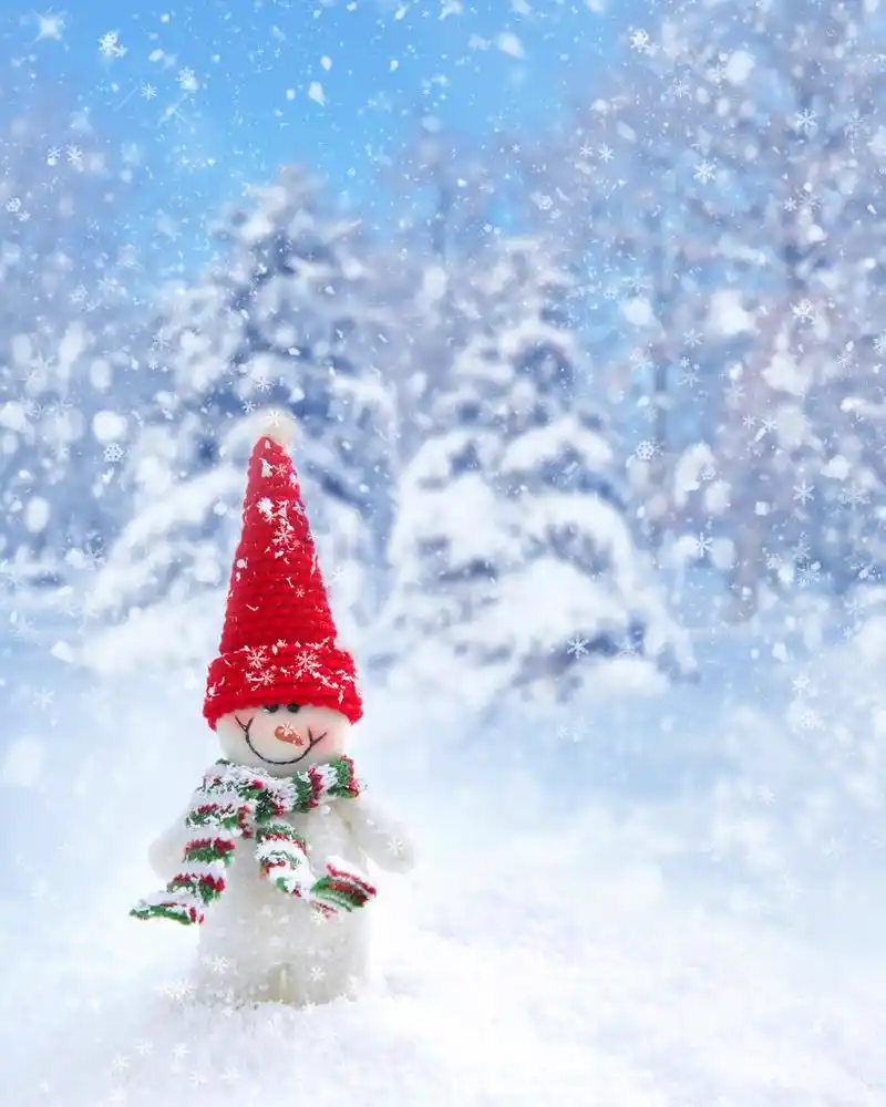 冬季森林背景上的雪人