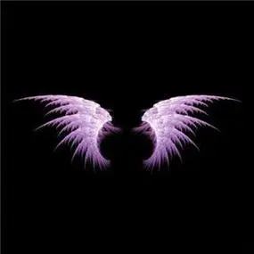 天使翅膀图片头像大全好看的天使翅膀图片唯美头像