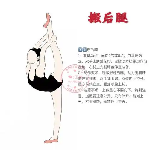 舞蹈基本功最全指南,这组图解太实用了.