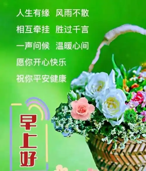 拼搏努力的正能量文案短句,发朋友圈很暖心的早安问候语