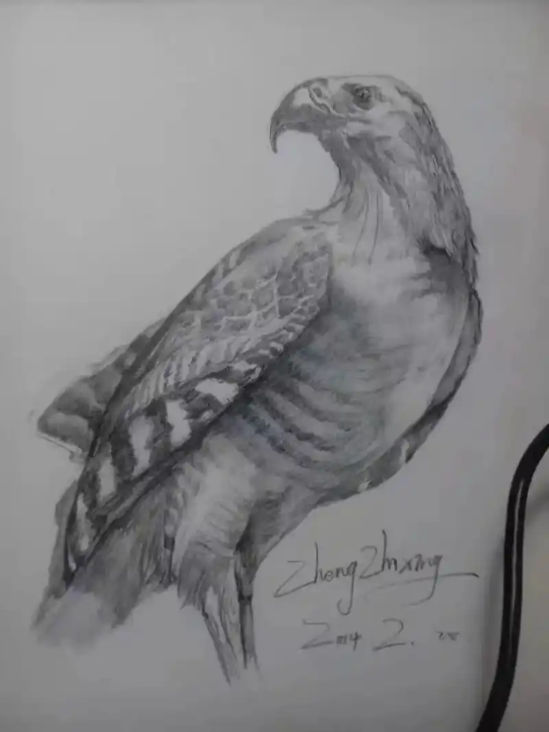 素描研究(郑治兴)素描是写实绘画的重要基础,也是最节制,最需 - 抖音