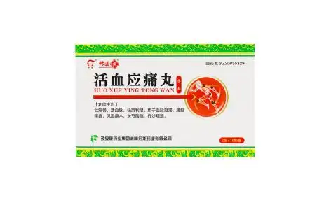 活血应痛丸丹龙