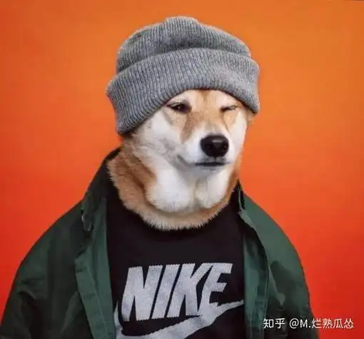 为什么很多男生很爱用狗的图片做头像