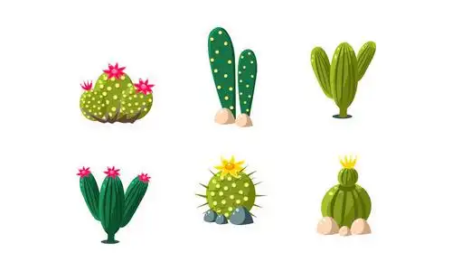 沙漠植物在夜间图片-沙漠植物在夜间素材-沙漠植物在夜间插画-摄图新