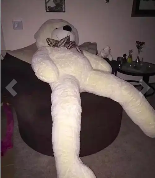 2017年"歪果仁"的经典买家秀与卖家秀,多么痛的领悟!