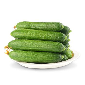 旷古农业新鲜小黄瓜 水果小青瓜 新鲜蔬菜 2000g
