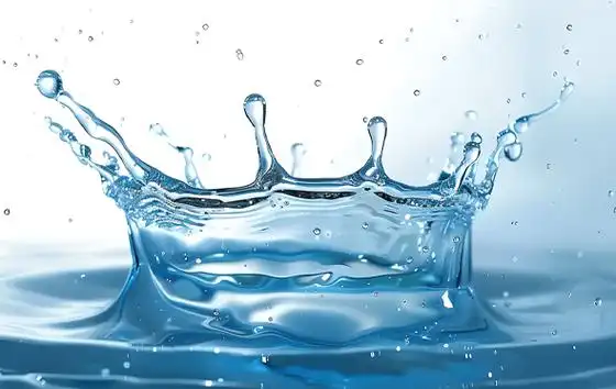 不要让最后一滴水成为我们的眼泪 | 生物多样性百科全书_水资源_水日