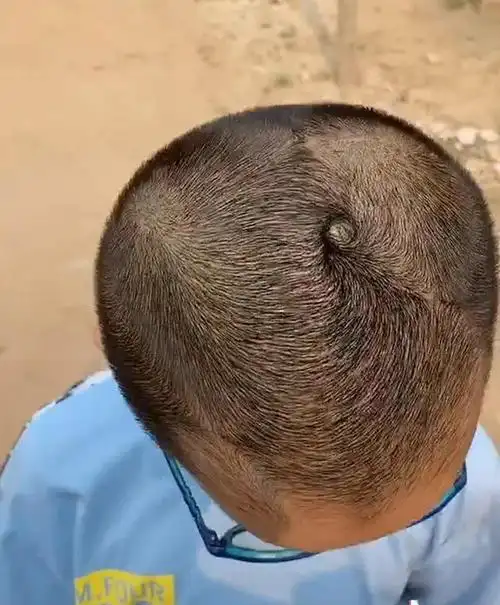 小男孩头顶3个旋争奇斗艳理发师看了无从下手网友不是一般人