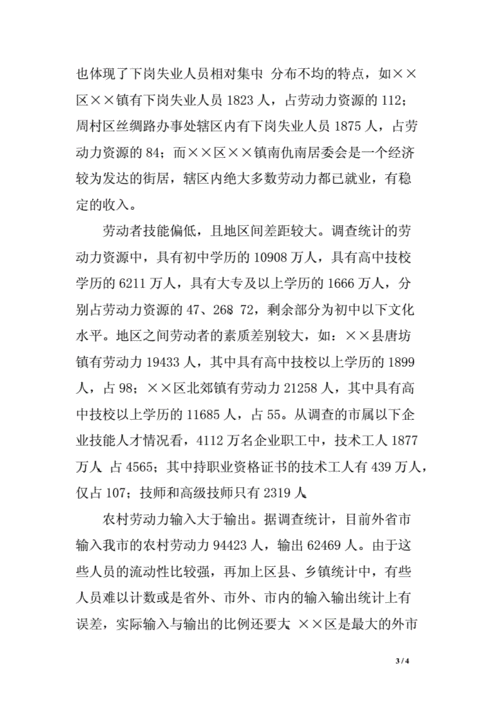 劳动力资源调研报告.doc