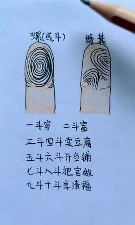 财富多少,看指纹就知道了?中科院破解"斗"和"簸箕"的奥秘