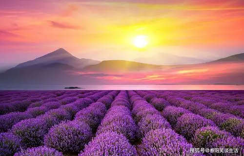 一生霉运少有,好运常有,总能心想事成的生肖