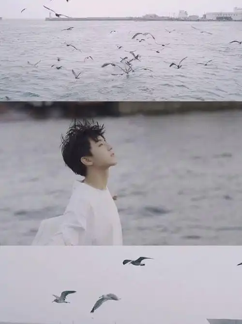 王俊凯的三宫格, - 堆糖,美图壁纸兴趣社区