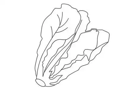 蒜蓉炒生菜简笔画