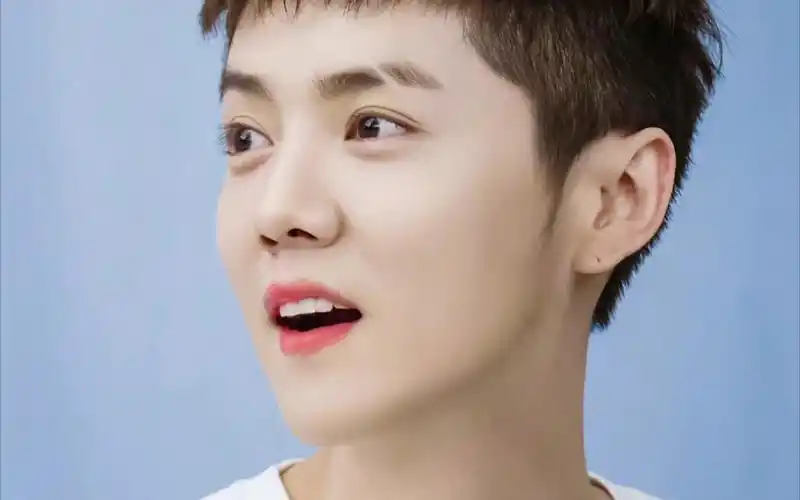 【鹿晗】鹿晗的笑容,是回眸一笑的惊艳,是若即若离的美好,是沉醉不知