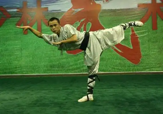 传统形意拳之蛇拳(图解)刚柔相济_武术-发簪网