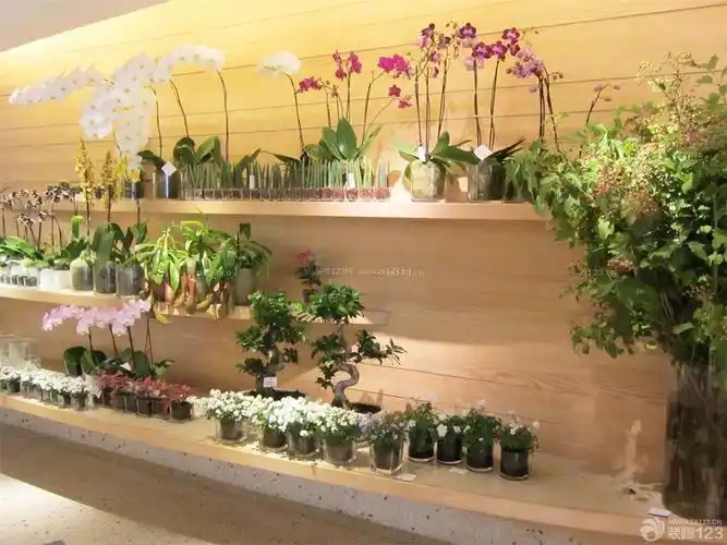 时尚高档花店墙饰板装修效果图片