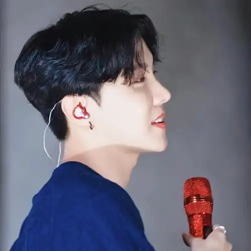 防弹少年团郑号锡头像