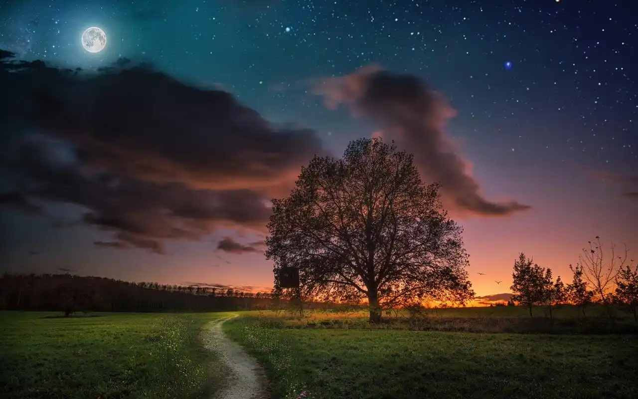 trees, grass, moon, starry, sky 640x1136 iphon