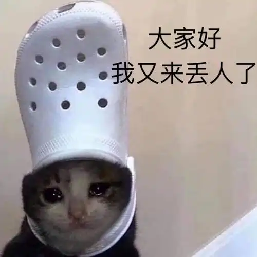 大家好 我又来丢人了_丢人_大家表情