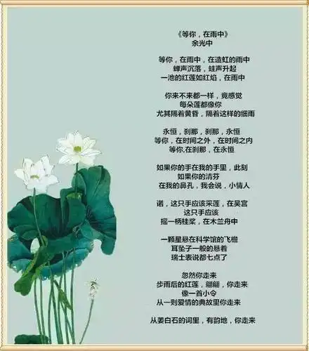 等你在雨中作者余光中