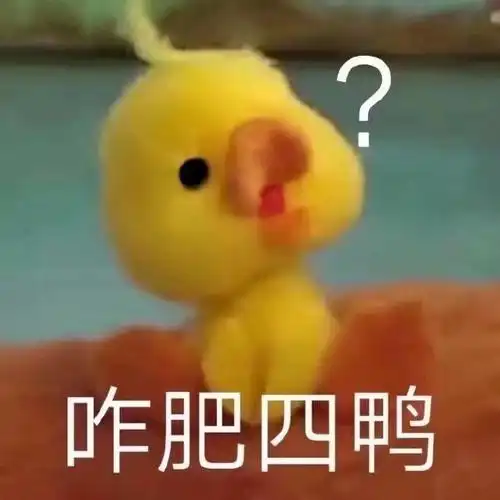 咋肥四鸭咋肥四鸭小黄鸭表情包斗图表情