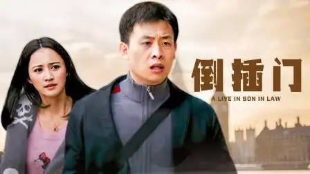 倒插门 第20集 倒插门 20-电视剧-高清完整正版视频在线观看-优酷