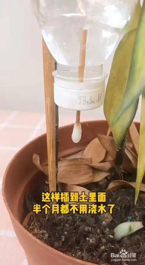 如何将用过的瓶子制作成简易浇花器?
