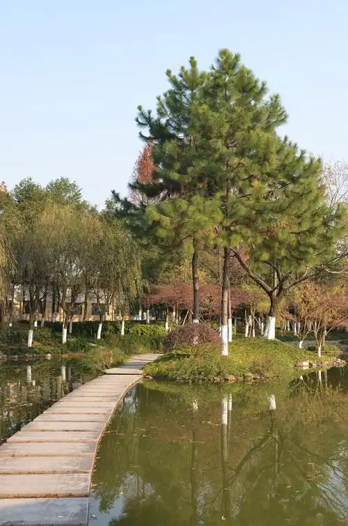 有一处美景叫六合公园-风景照-19摄区-杭州19楼