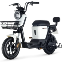 绿源超长续航锂电池 电动车新国标电动自行车 zfb翻糖