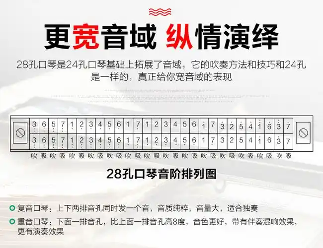 天鹅口琴复音重音28孔宽音域c调初学者成人比赛专业演奏乐器