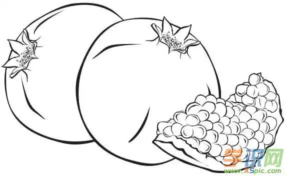 水果石榴的简笔画图片