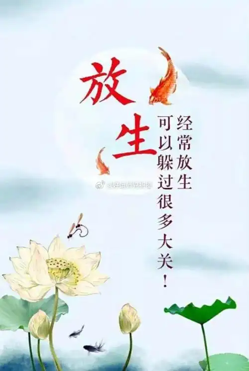 放生善举,让生命得以延续