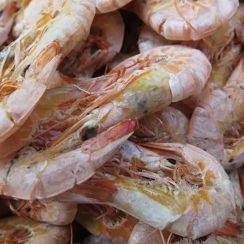 野生海芦虾 500g