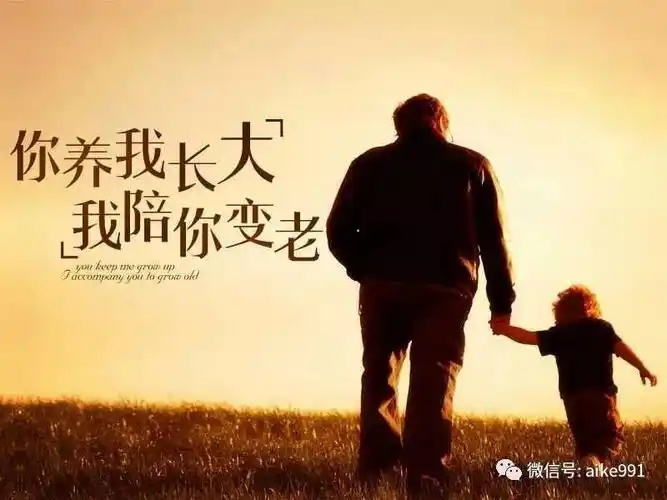 您养我长大·我陪您变老