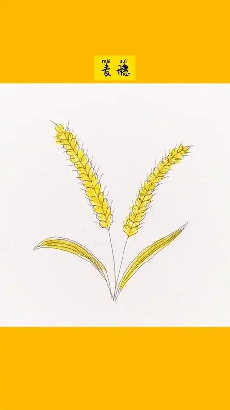 这样的简笔画麦穗简单又逼真简笔画亲子文化绘画