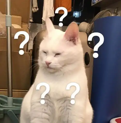 好奇呆萌可爱gif动图_动态图_表情包下载_soogif