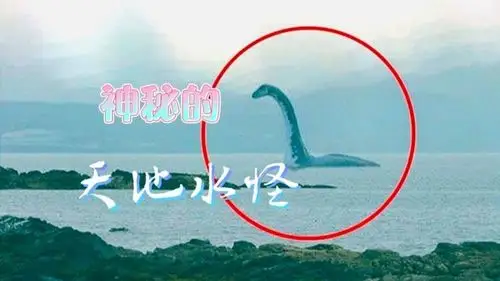 神秘的天池水怪竟然最有可能是它