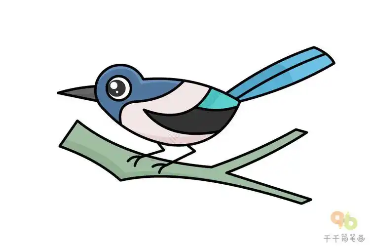 漂亮的喜鹊简笔画画法