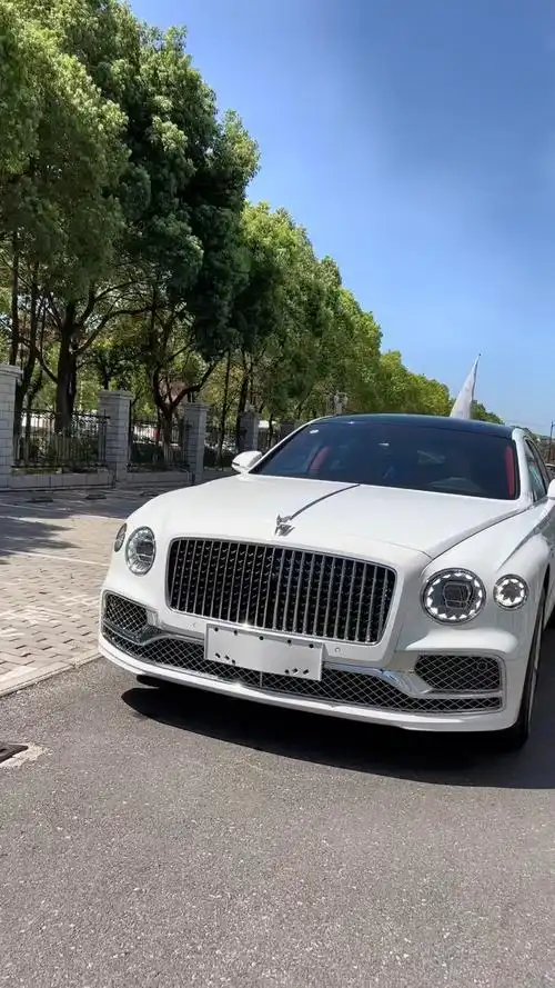 宾利飞驰冰川白外漆