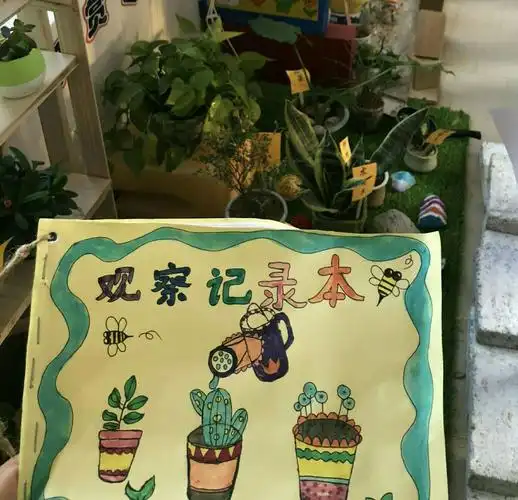 小角落·大世界-第三实验幼儿园植物角观摩评比活动