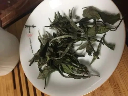 白茶种类之寿眉白毫银针白牡丹的介绍 – 福鼎白茶