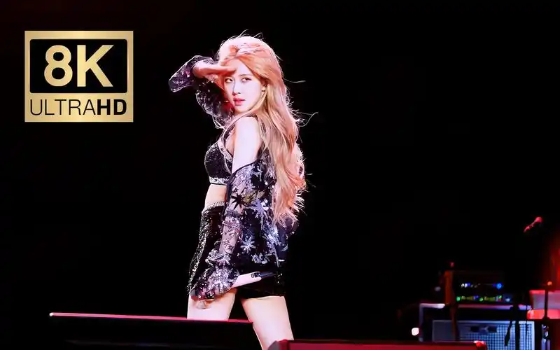 【8k修复顶级画质】澳洲野玫瑰rose 《kill this love》演唱会超高清