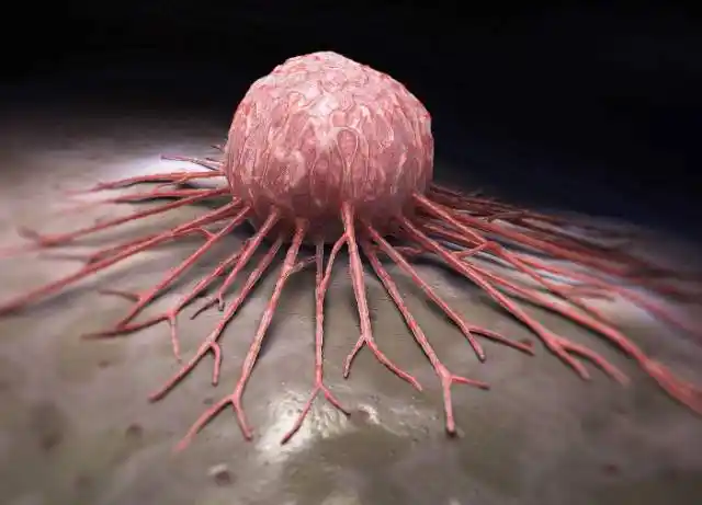 一位肿瘤科医生的自述:癌症患者永远不明白. - 1989611090的主页