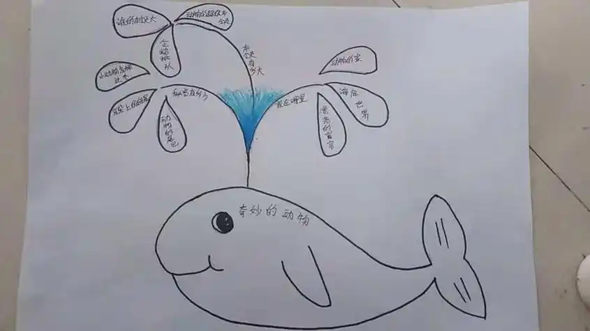 简笔画思维导图 简笔画思维导图模板