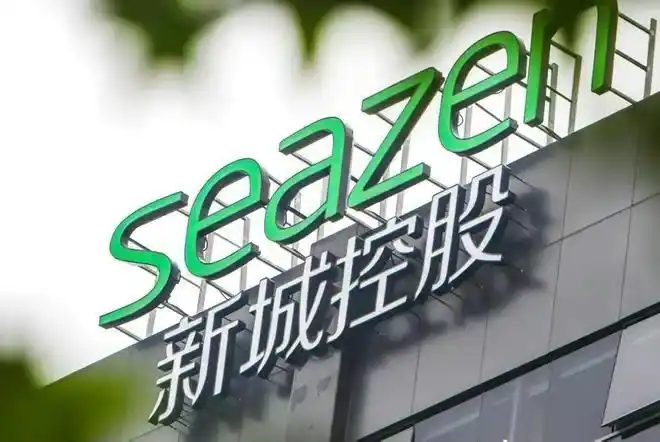 王晓松临危受命2年新城控股的春天会不会到来