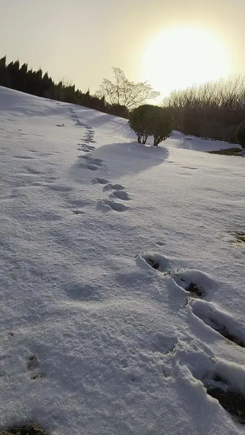 漫漫长路雪地上的一行脚印