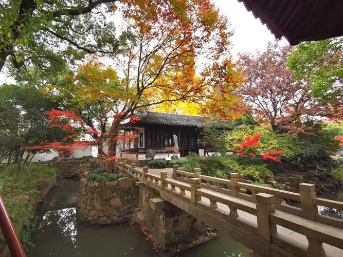 上海醉白池公园秋色